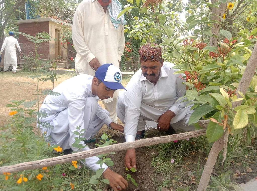 Tree Plantation